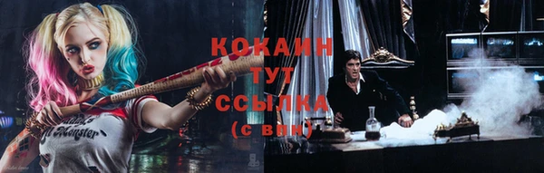стаф Володарск