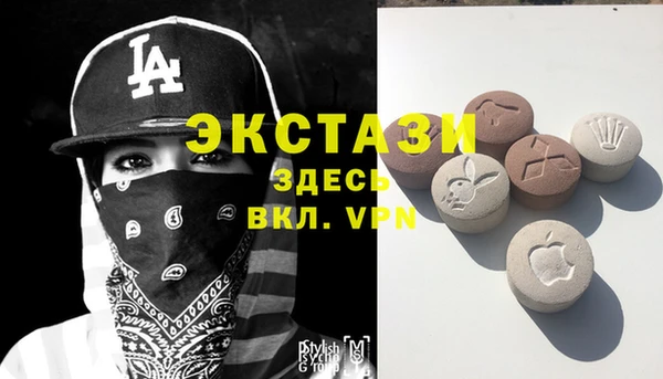 стаф Володарск