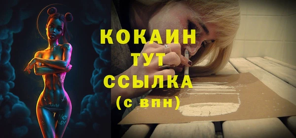 стаф Володарск