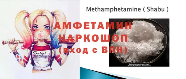 индика Волосово