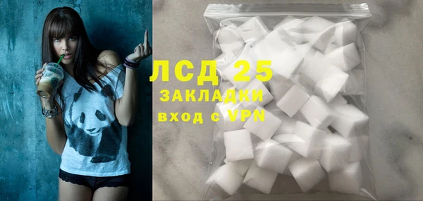 индика Волосово