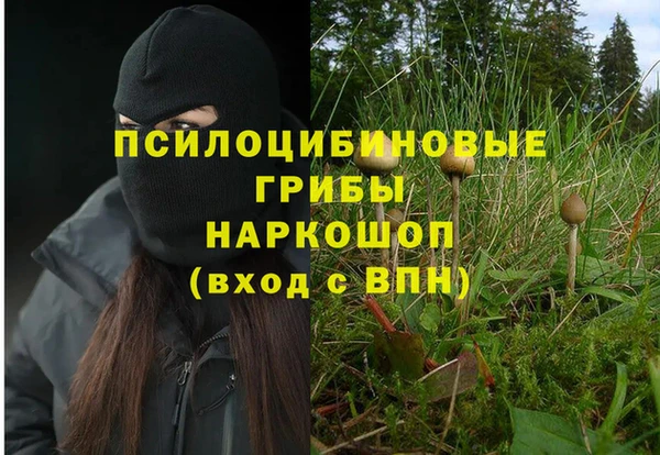 стаф Володарск