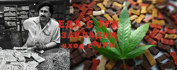 индика Волосово