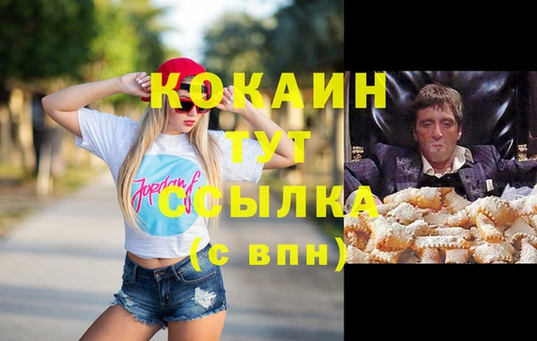 стаф Володарск
