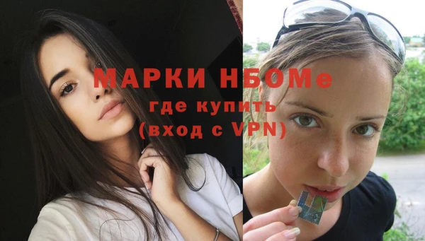 стаф Володарск